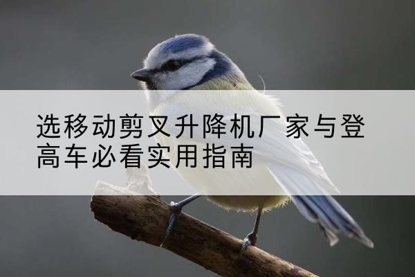 太原电动升降机厂家-选移动剪叉升降机厂家与登高车必看实用指南
