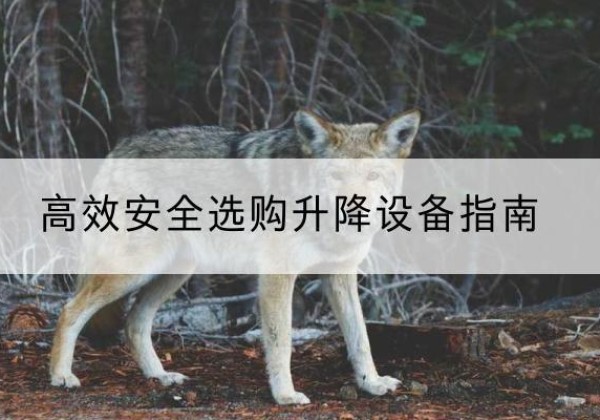 太原升降货梯厂家推荐-*安全选购升降设备指南